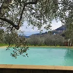 Shaleo Marliana