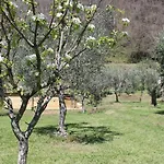 Shaleo * Marliana