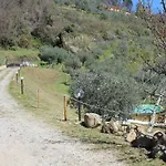 Shaleo * Marliana