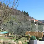 Shaleo