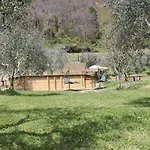 Shaleo Marliana