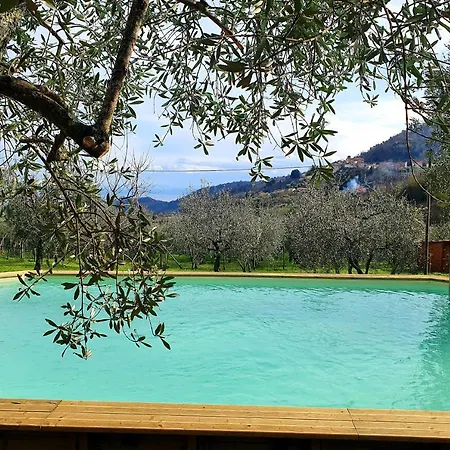 Shaleo Villa
