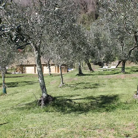 Shaleo Villa *
