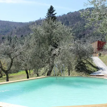 Villa Shaleo *