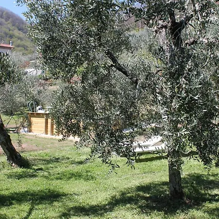 Villa Shaleo *