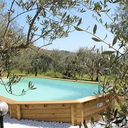 Shaleo Villa *