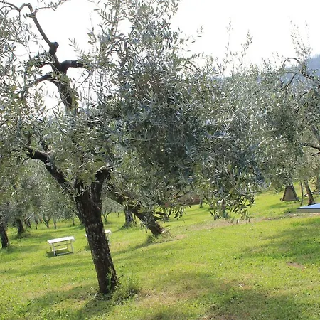 Villa Shaleo Marliana